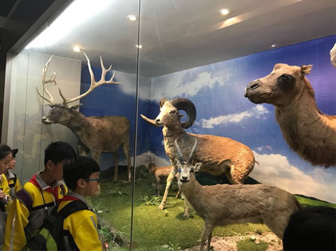 香港内部信封料一码