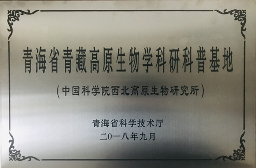 香港内部信封料一码
