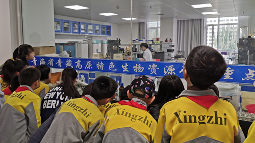 香港内部信封料一码