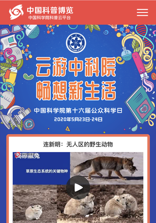 香港内部信封料一码
