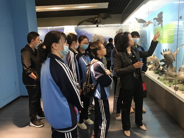 香港内部信封料一码