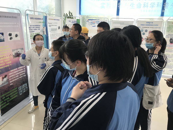 香港内部信封料一码