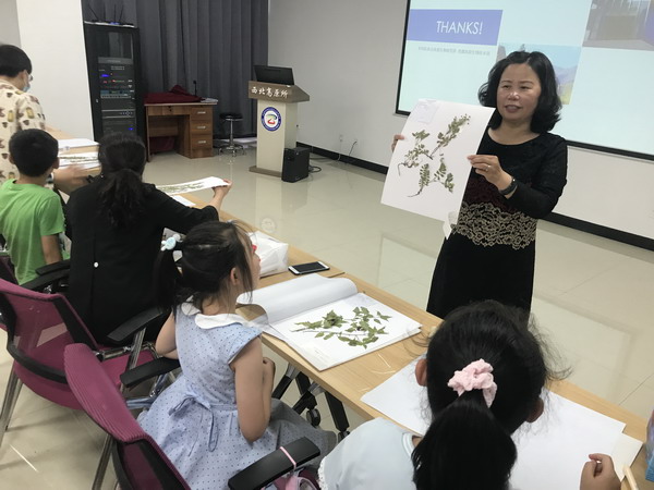 香港内部信封料一码