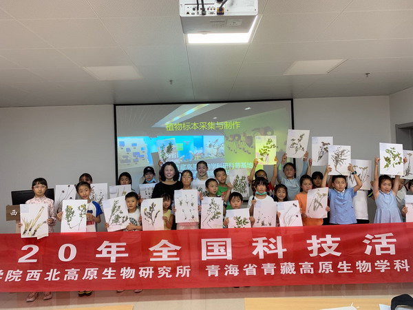 香港内部信封料一码