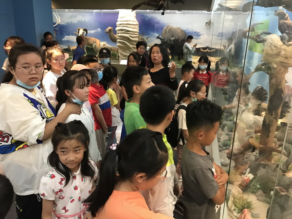 香港内部信封料一码