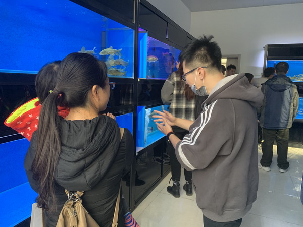 香港内部信封料一码