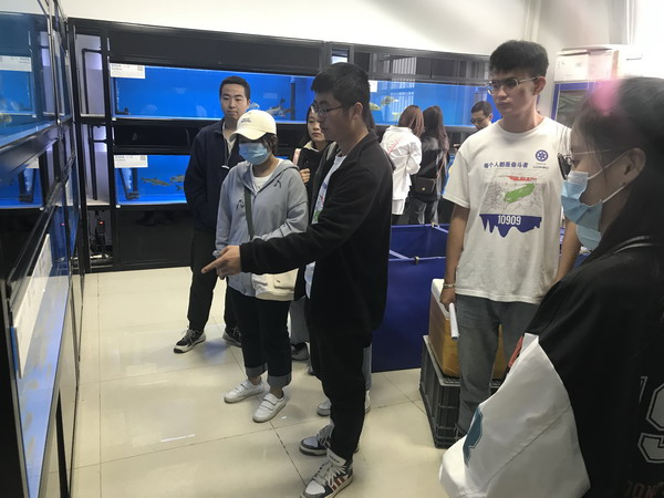 香港内部信封料一码