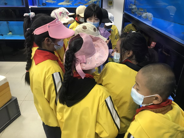 香港内部信封料一码