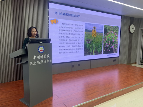 香港内部信封料一码