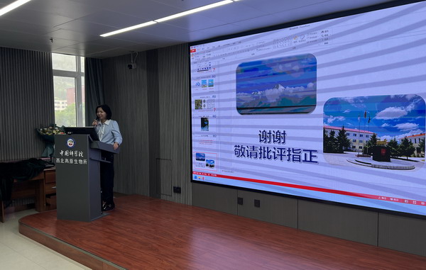 香港内部信封料一码