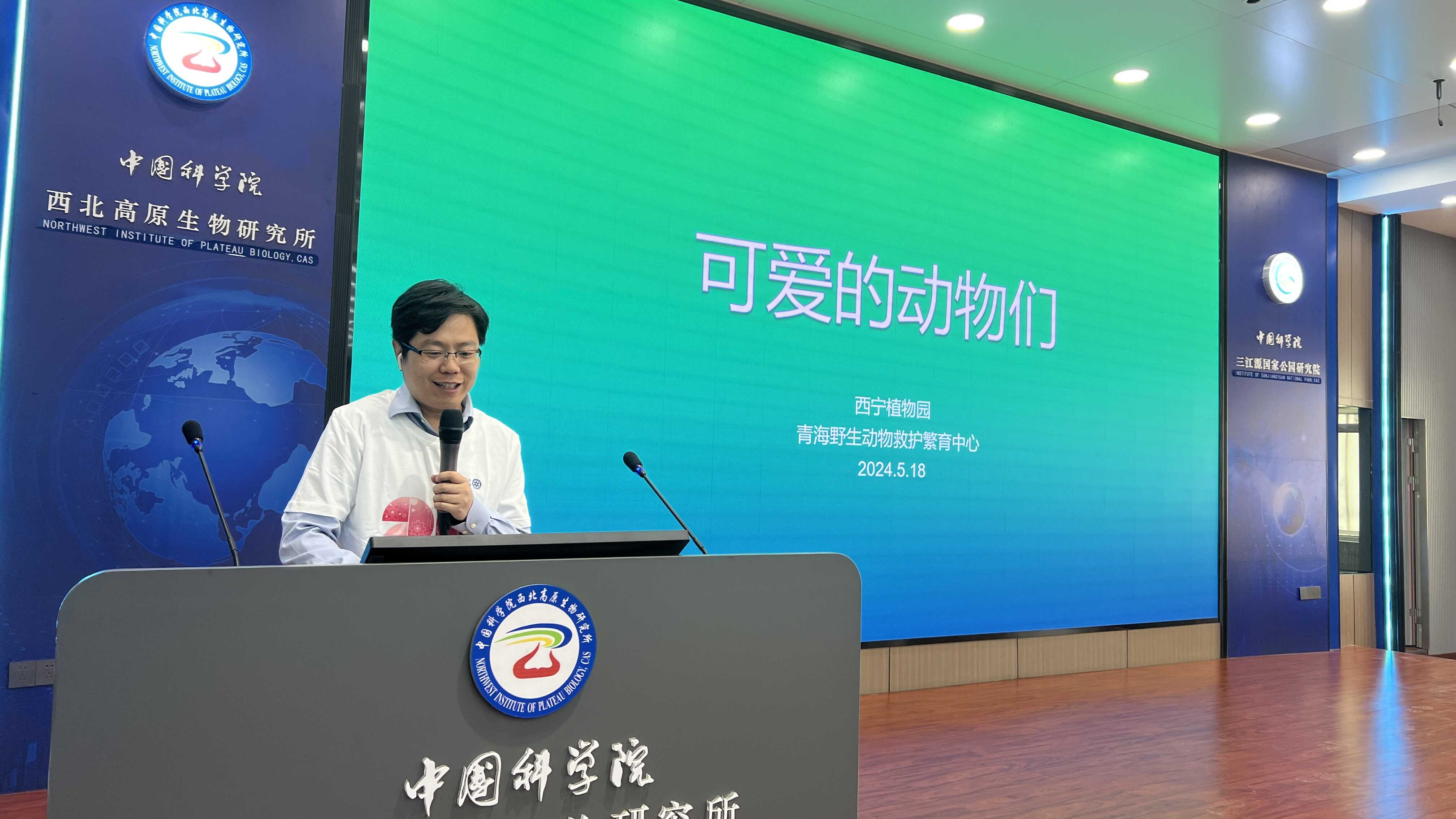 香港内部信封料一码