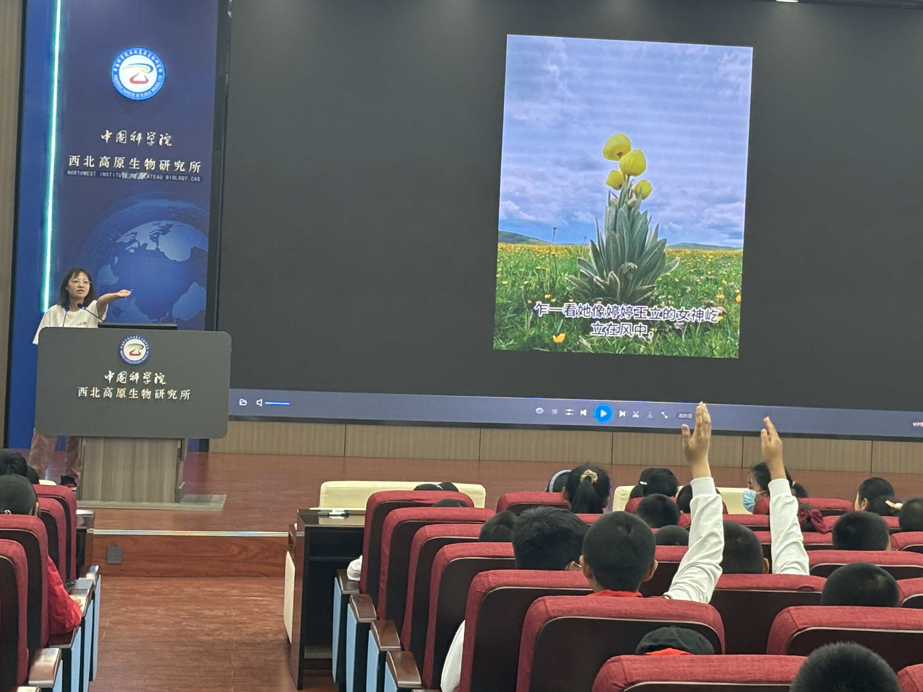 香港内部信封料一码
