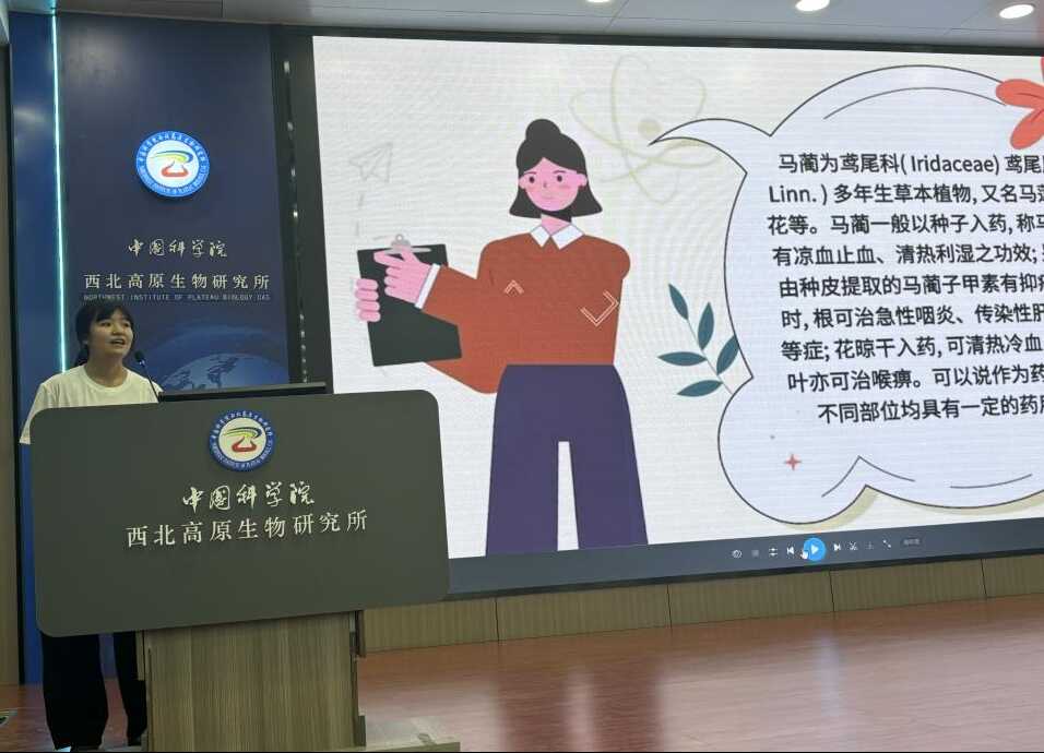 香港内部信封料一码