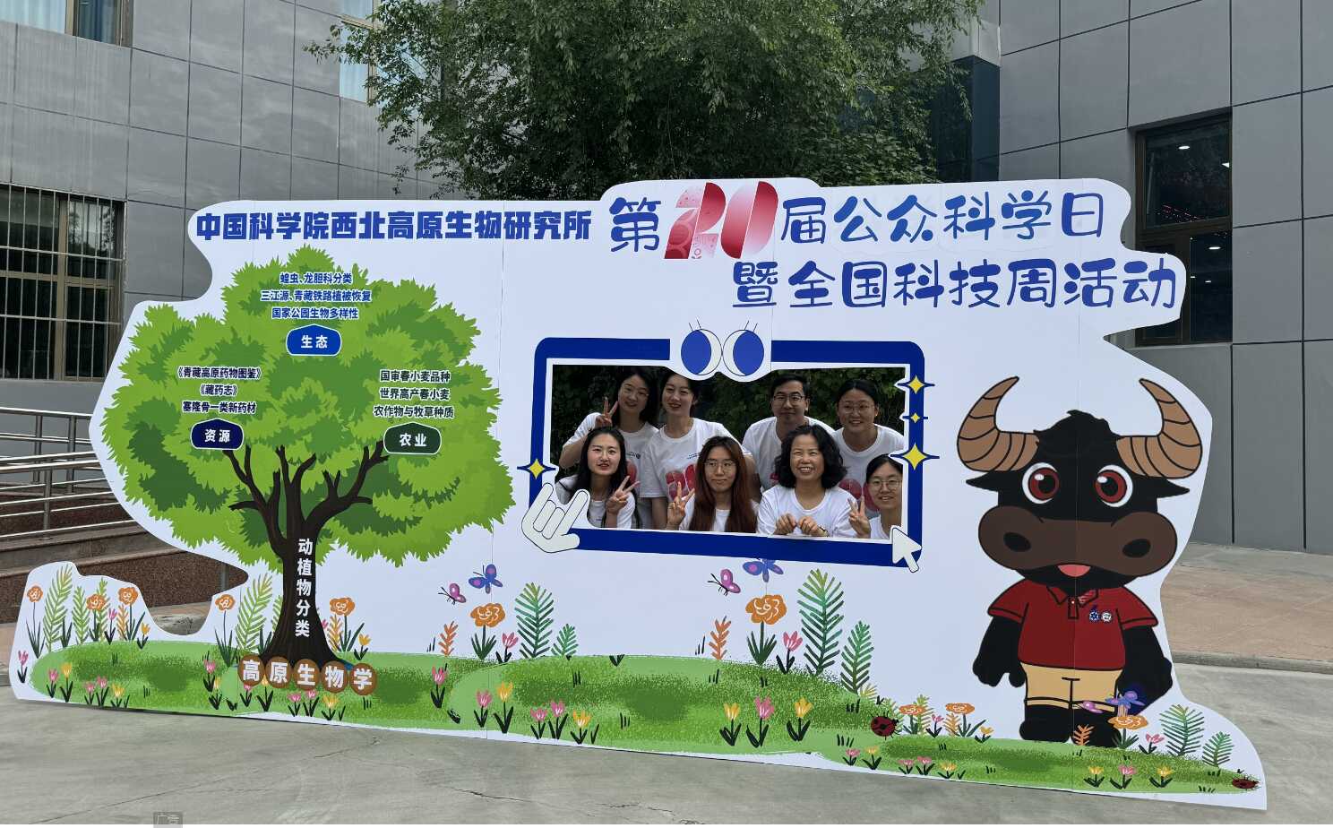 香港内部信封料一码