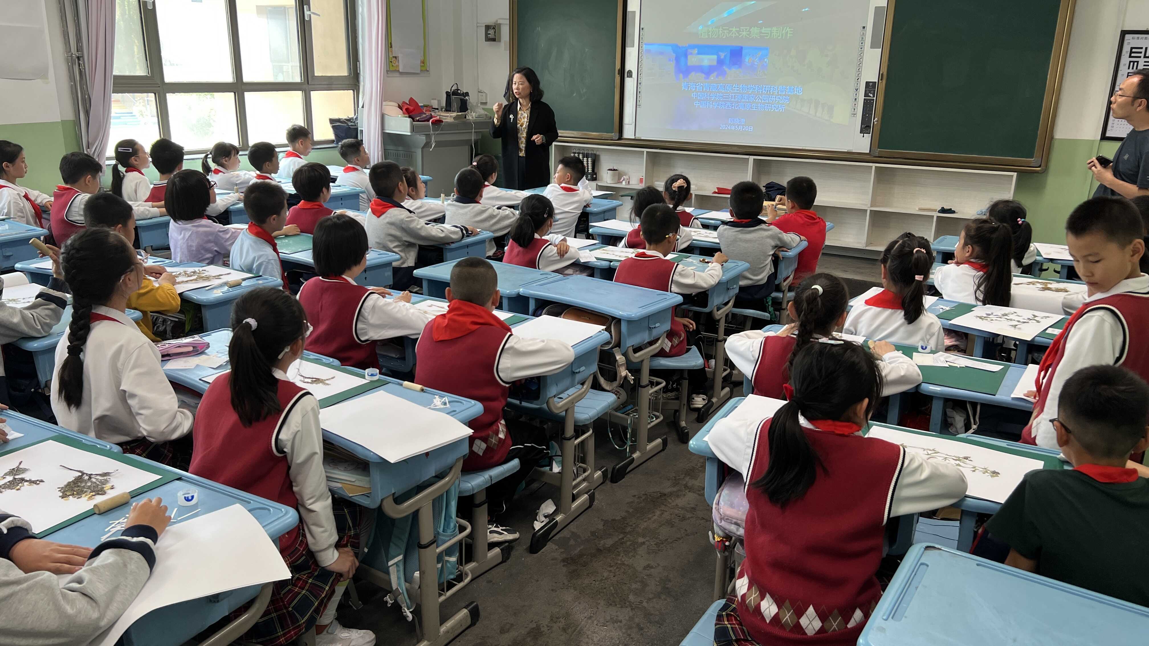 香港内部信封料一码