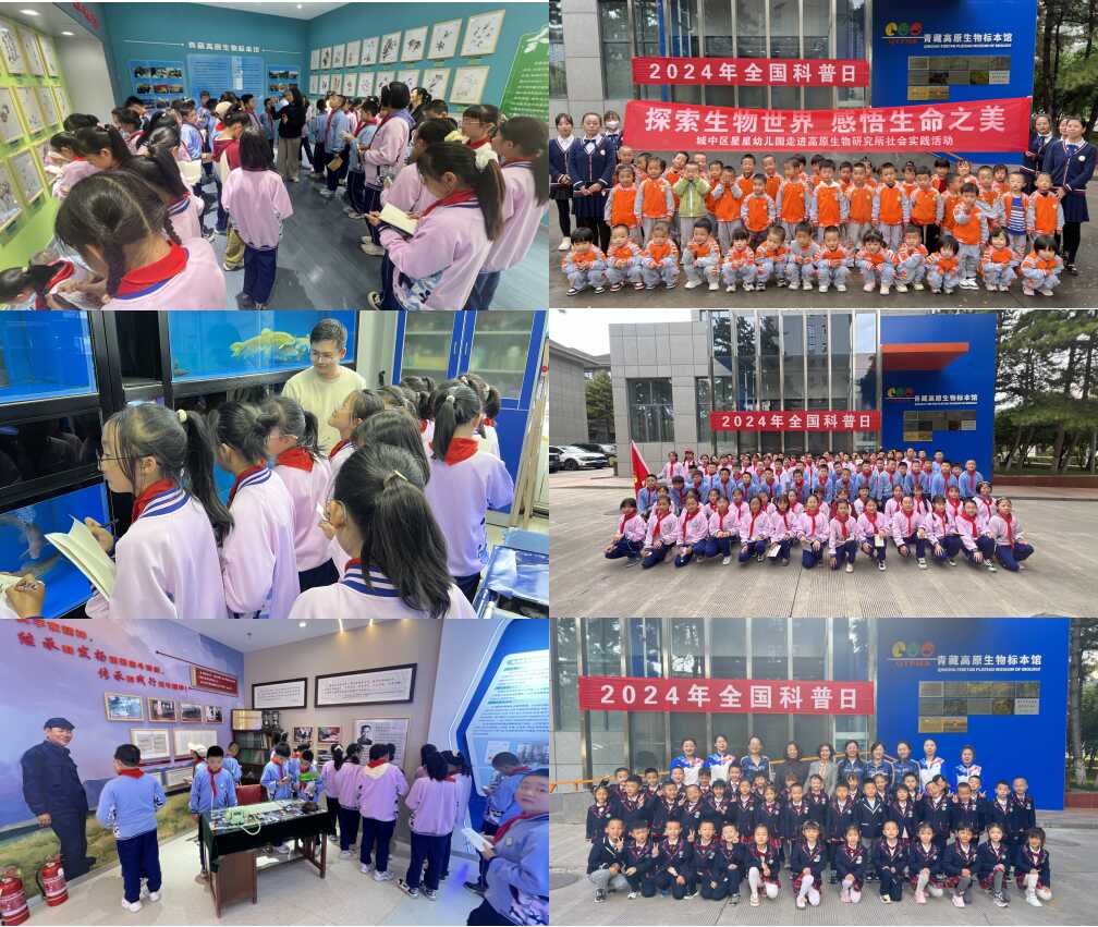 5a69fa6ac3516327d69d2f41fd220f0.png 香港内部信封料一码