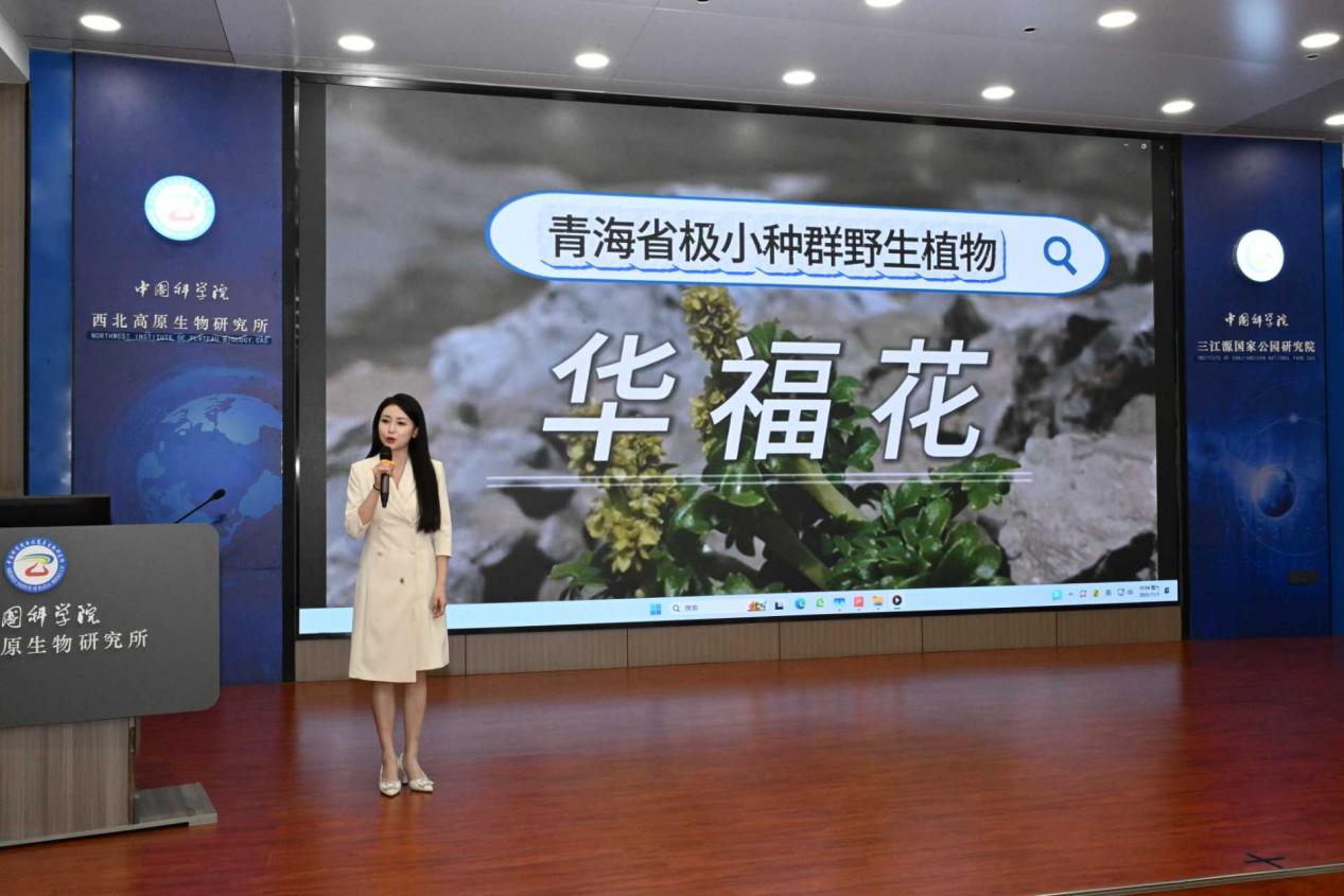 香港内部信封料一码