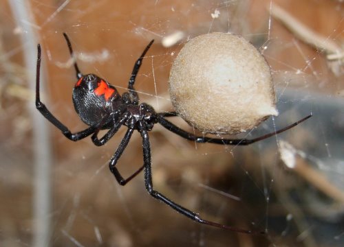 香港内部信封料一码