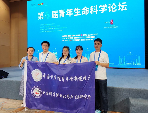 香港内部信封料一码