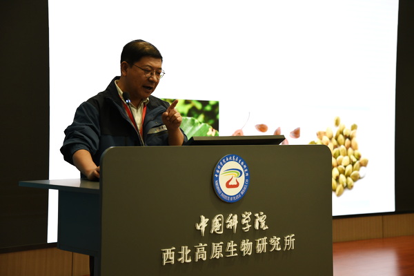 香港内部信封料一码