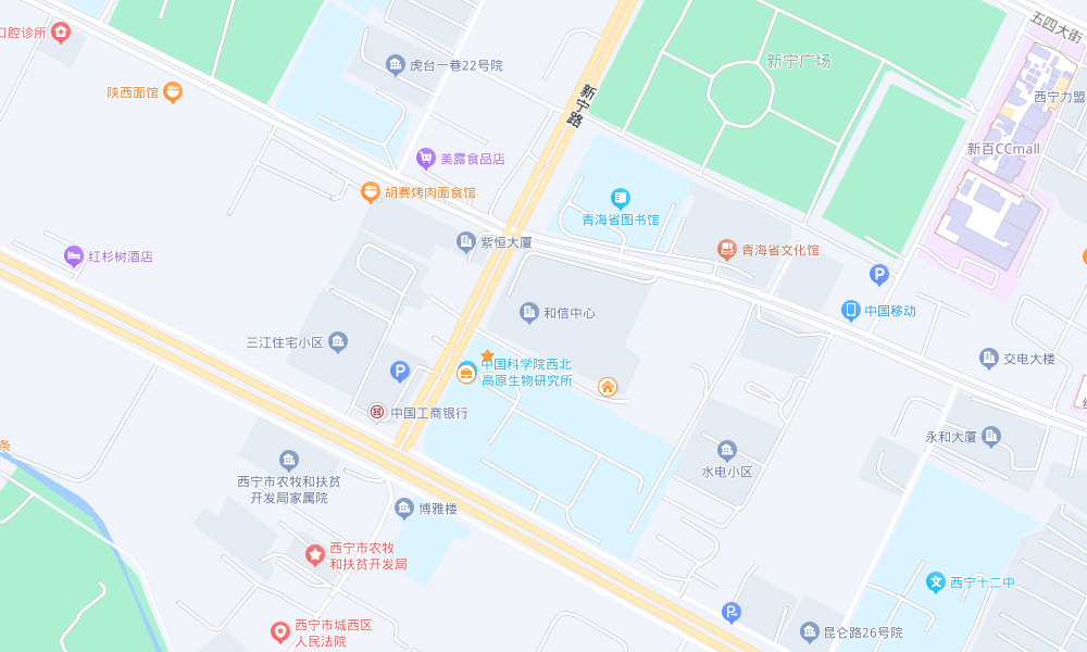 香港内部信封料一码