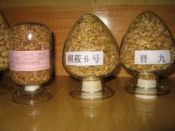 香港内部信封料一码