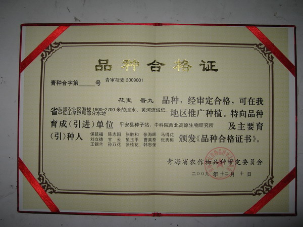 香港内部信封料一码