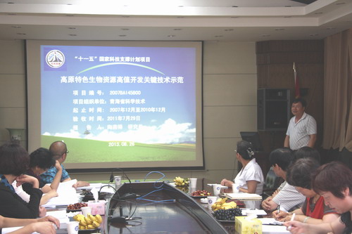 香港内部信封料一码