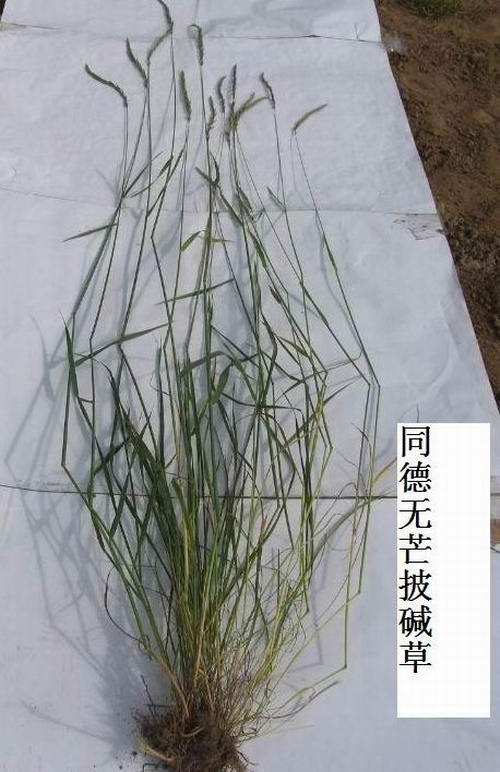 香港内部信封料一码