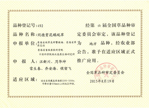 香港内部信封料一码
