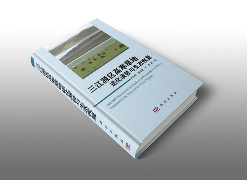 香港内部信封料一码