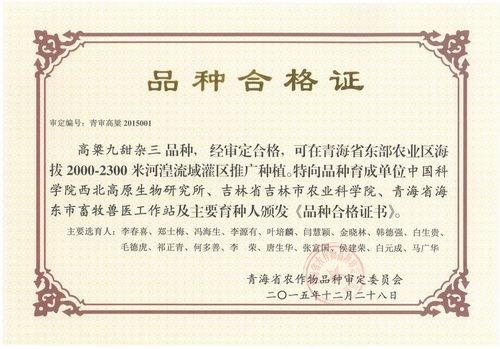 香港内部信封料一码
