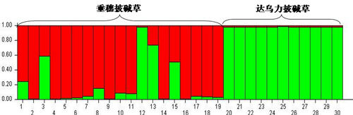 香港内部信封料一码
