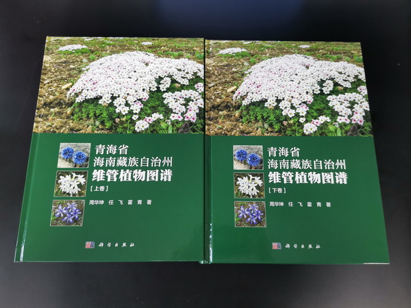 香港内部信封料一码