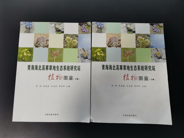 香港内部信封料一码