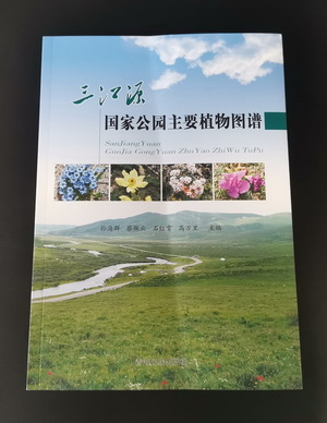 香港内部信封料一码