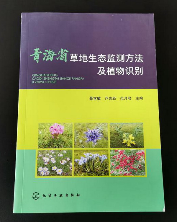 香港内部信封料一码