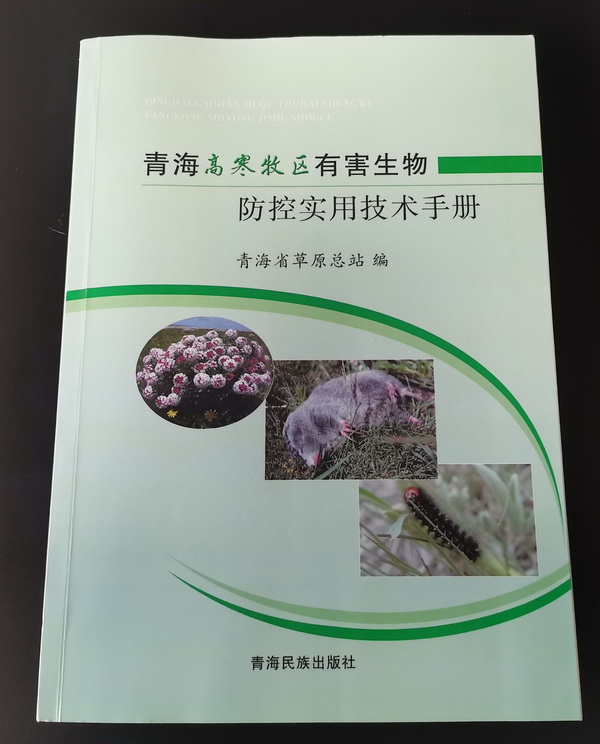 香港内部信封料一码