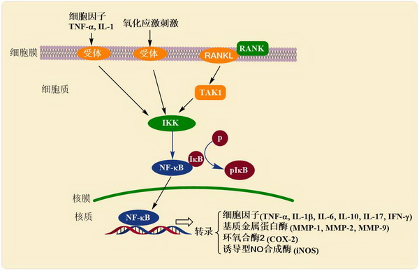 香港内部信封料一码