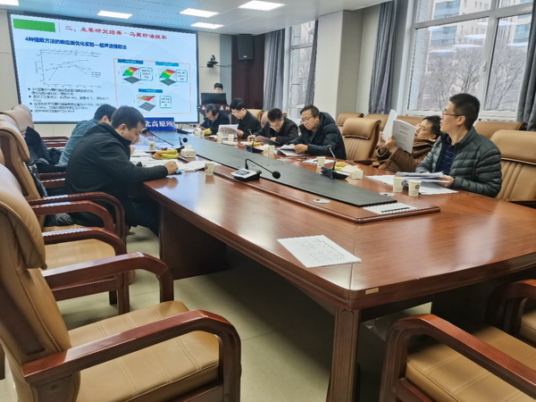 香港内部信封料一码