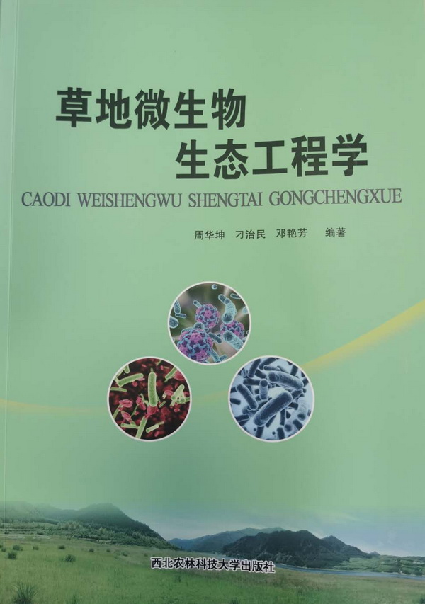 香港内部信封料一码