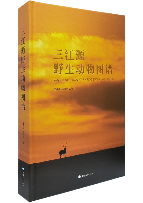 香港内部信封料一码