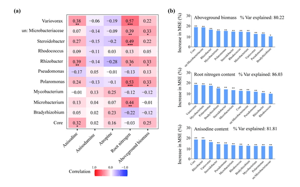 香港内部信封料一码