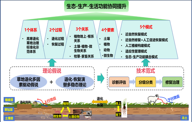 香港内部信封料一码