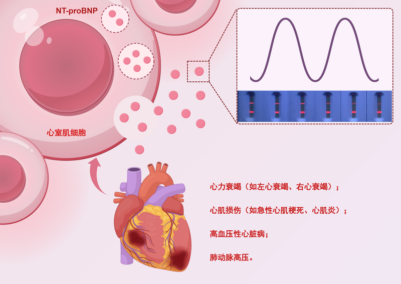 香港内部信封料一码