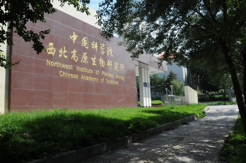 香港内部信封料一码