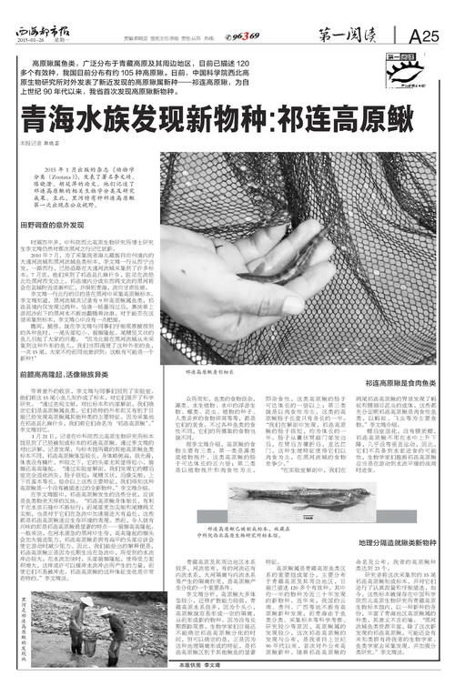 香港内部信封料一码