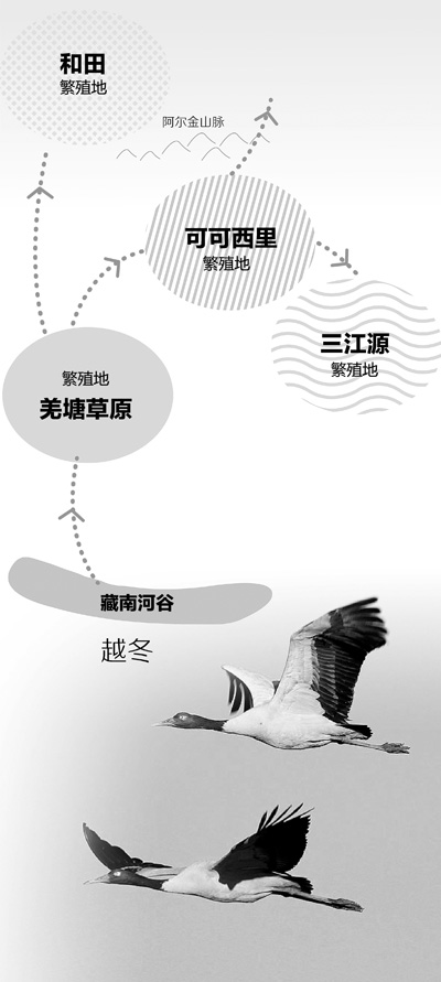 香港内部信封料一码