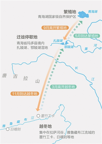 香港内部信封料一码