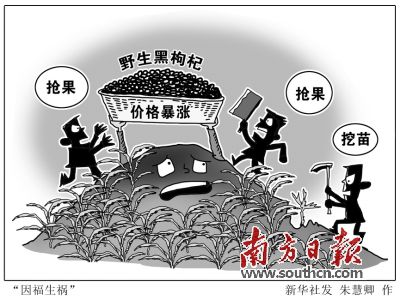 香港内部信封料一码